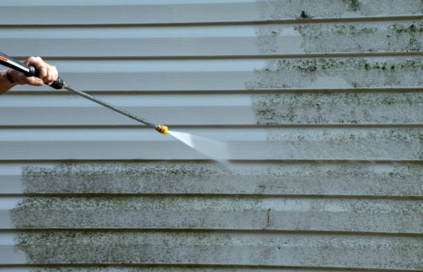 Best Gutter Cleaning and Brightening in Burlington, IA